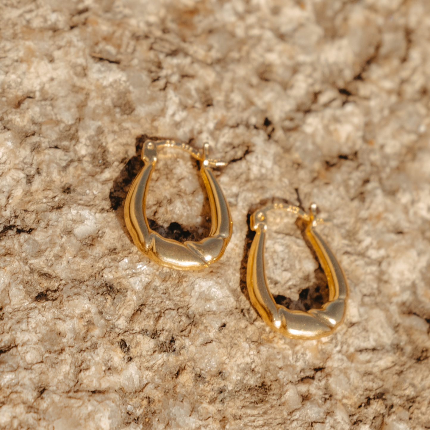 The Emily Hoops in Gold
